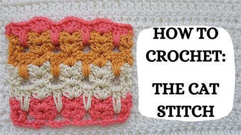 How To Crochet Cat Stitch Tutorial Diy Beginner Crochet Easy