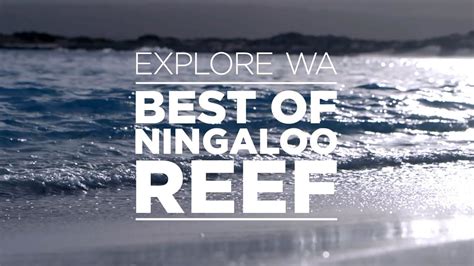 Explore Western Australia Best Of Ningaloo Reef Australia Western