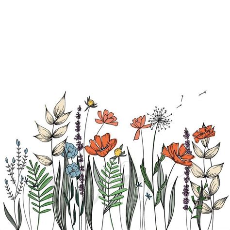 Wildflowers Line Drawing Wall Decor Botanical Illustration Etsy
