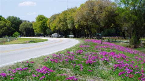 Beautiful Scenery Of Sumter County Scenic Sumter Heritage Byway