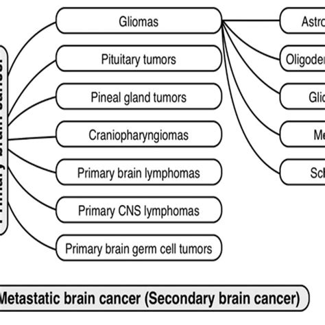 Most Common Types Of Brain Tumors 6 8 Download Scientific Diagram