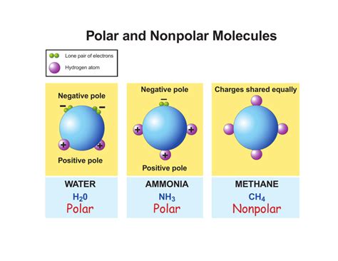 The molecules that have atoms with equal electronegativity are nonpolar in nature because the equal charge why is ch4 nonpolar? Ch4 Polar Or Nonpolar / Solution Is The Ch4 A Polar Or Non ...