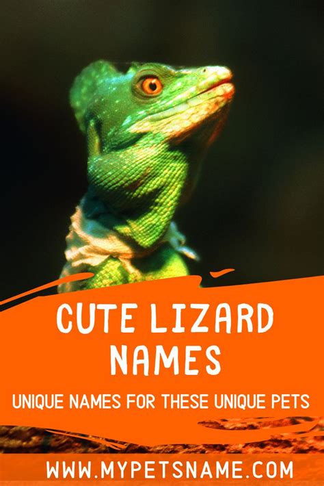 Cute Lizard Names Lizard Names Cute Lizard Cute Pet Names
