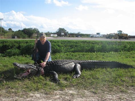Alligator Hunt Best 05 Central Florida Trophy Hunts