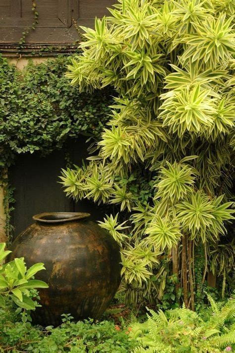 There Are Great Ways To Include Tropical Landscaping Ideas On Your