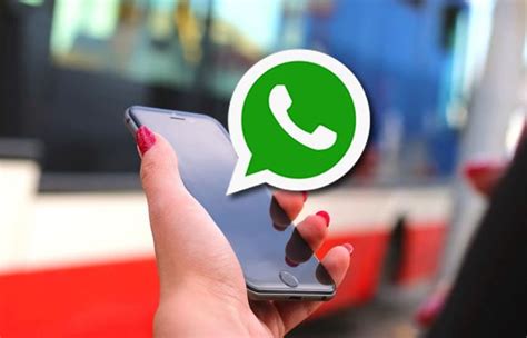 WhatsApp Cómo usar los filtros para fotos