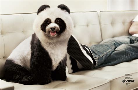 Maybe you would like to learn more about one of these? Creative video Ads: VIPAL Environmental Awareness Ads