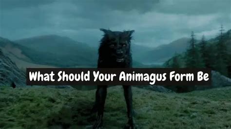 Animagus Quiz What Would Your Form Be Crackthequiz