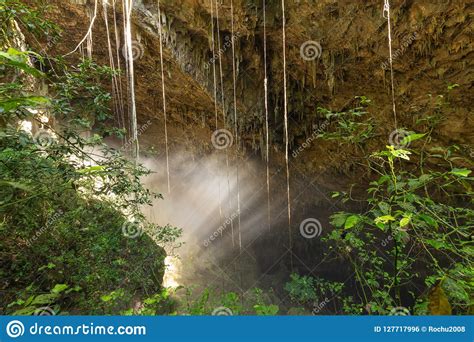 Cave Inlet In The Forest As Seen In The Morning Stock Photo Image Of