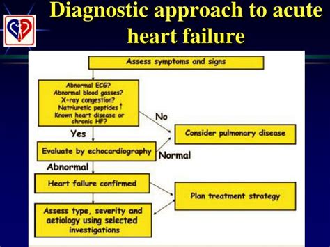 Ppt Current Treatment Of Acute Heart Failure Powerpoint Presentation