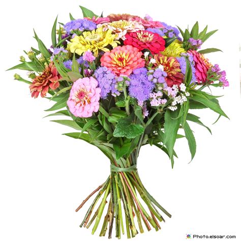 25 Beautiful Flower Bouquets For Mothers Day Elsoar