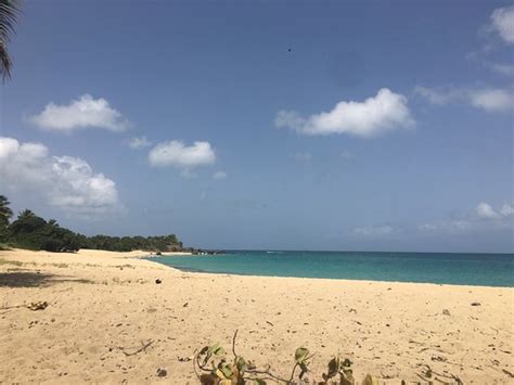 Happy Bay Beach Saint Martin St Martin St Maarten Top Tips Before