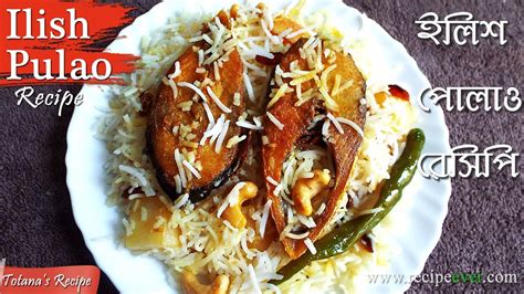 Ilish Pulao Recipe Easy Rice Dish Bengali Hilsa Fish Recipe Ilish