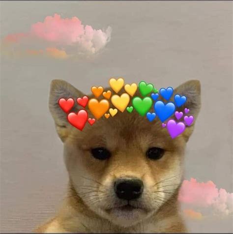 Pin By Connie Uchiha On Dog Xhido Dog Images Dog Icon Dog Memes