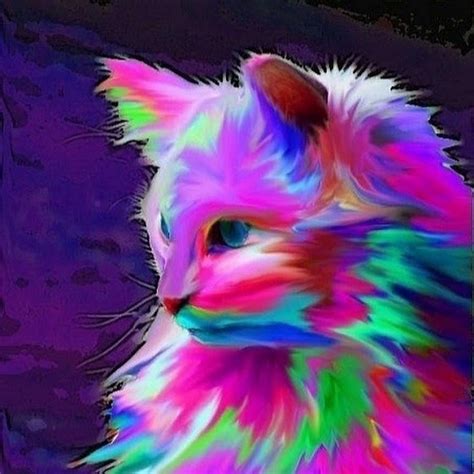 Rainbow Cat Youtube
