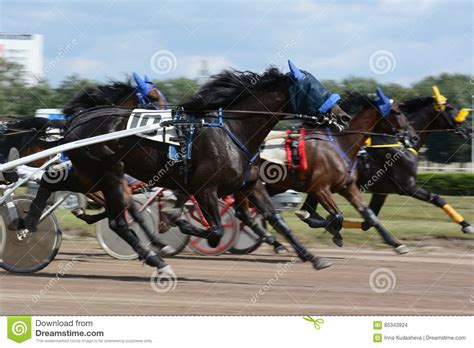horses trotter breed  motion abstract blur stock photo image  equestrian dark