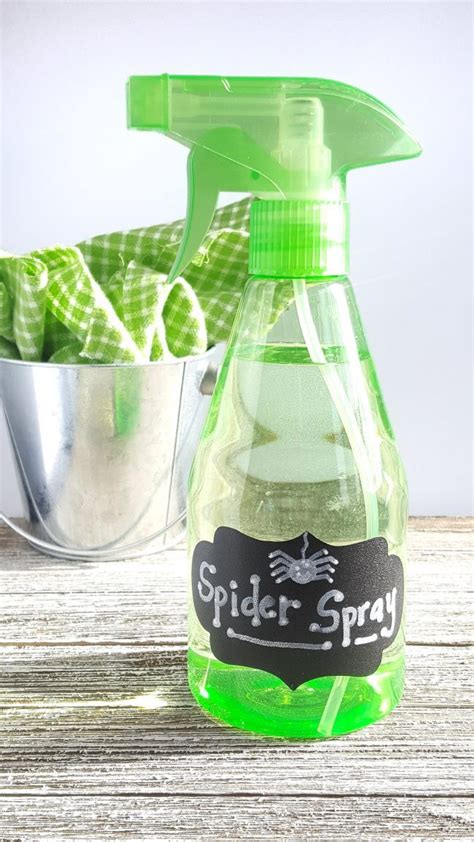 A Simple 3 Ingredient Spray Thatll Keep Spiders Out For Good Of Life