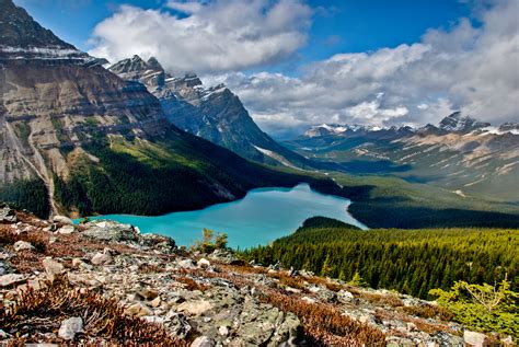 Peyto Lake Canada Most Beautiful Places In The World