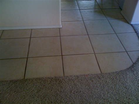 Curved Transition Strip Tile To Carpet Carpet Vidalondon