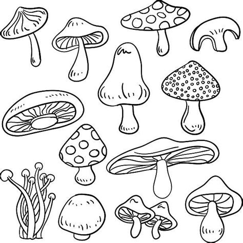 Illustrations Royalty Free Vector Graphics Clip Art Istock Line Art Drawings Mushroom