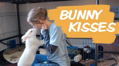 My Secret Technique To Get Bunny Kisses Youtube