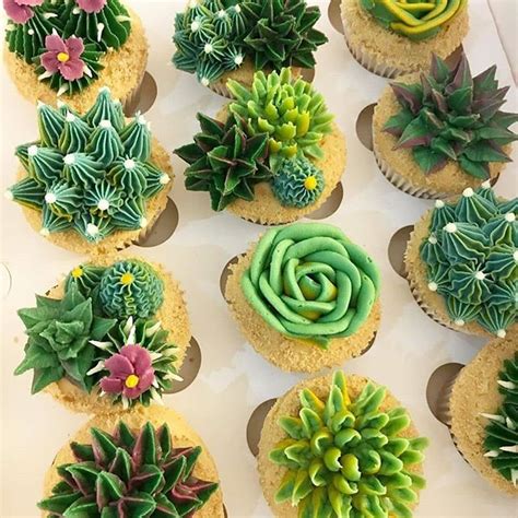 You can even grow cactus indoors in containers. How To Grow Succulents Indoors? - Page 2 of 4 in 2020 ...
