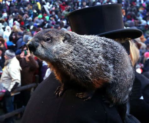 Groundhog Day 2017: Phil says 'long winter,' but he was wrong before he even woke up - The ...