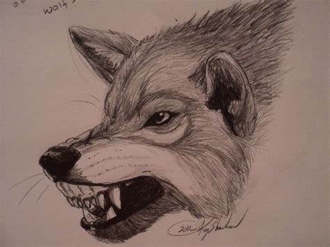 Wolf tattoos are very popular and considered to be a mainstream tattoo. snarling wolf drawings - Google Search | Snarling wolf ...