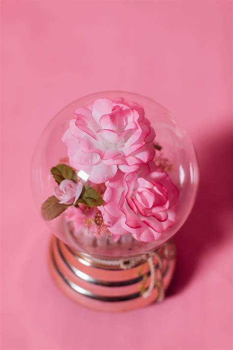 Download Pink Flowers Aesthetic Inside Glass Globe Wallpaper