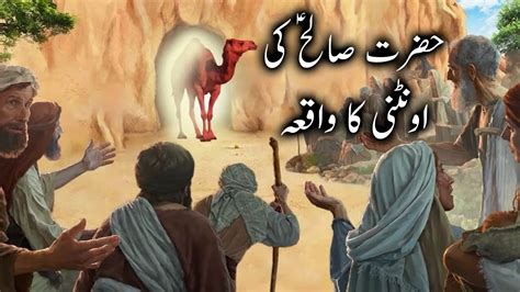 Hazrat Saleh Ki Ontni Ka Waqia Camel Story Of Prophet Saleh Qasas