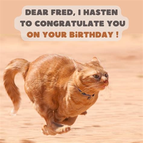 Beautiful Birthday Cards For Fred