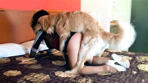 Xxx Woman In Shades Lets White Dog Penetrate Her Vagina