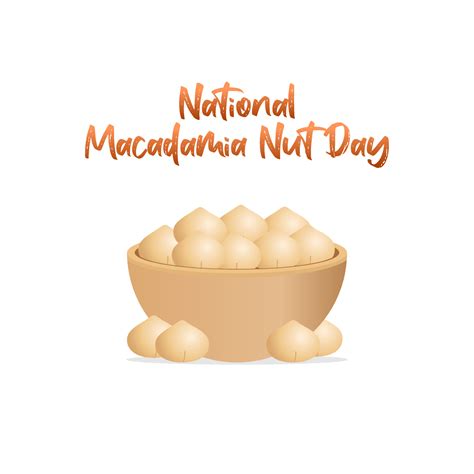 Vector Graphic Of National Macadamia Nut Day Good For National
