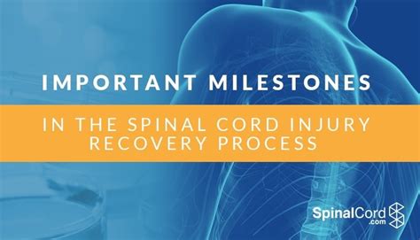 Important Milestones In The Spinal Cord Injury Recovery