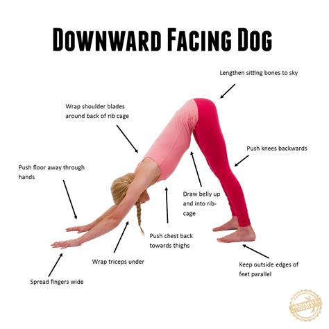 Downward dog is one of the most commonly taught and practice postures in the yoga world. SITS - Gabby DeLorenze