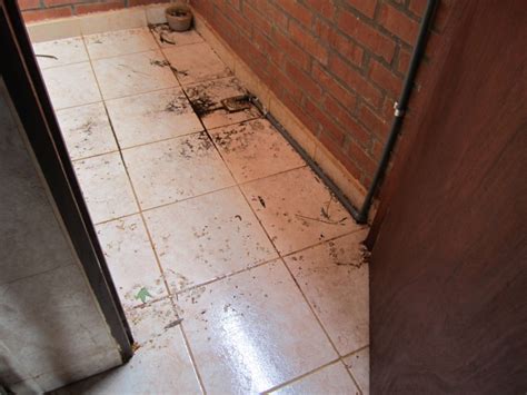 Dec 09, 2018 · adding guttering to your garage can solve the problem if the rainwater that's seeping under the door is coming from the garage roof. drainage - How can I temporarily seal a gap underneath my ...