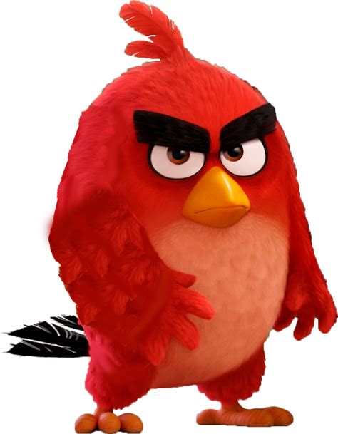 The Angry Birds Of Proverbs Pt 1 By Brad A Brown