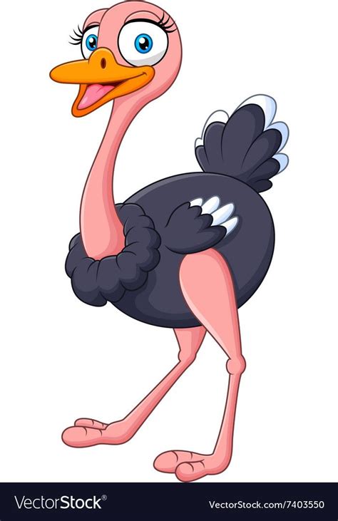 Cartoon Ostrich Images ~ Ostrich Animals Clipart Drawings Kawaii Cute