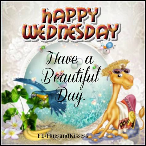 Happy Wednesday Hope You Have A Beautiful Day Pictures Photos And
