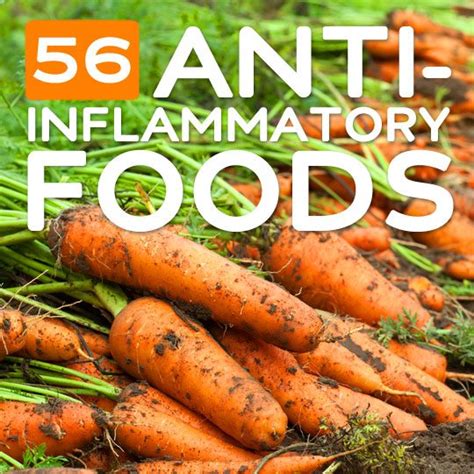 An arthritic dog's #1 enemy. 56 Anti-Inflammatory Foods for a Healthier Body | Health ...