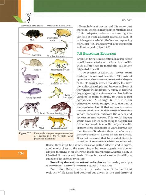 Evolution NCERT pdf | Read Online Class 12 Biology - Study Material Center