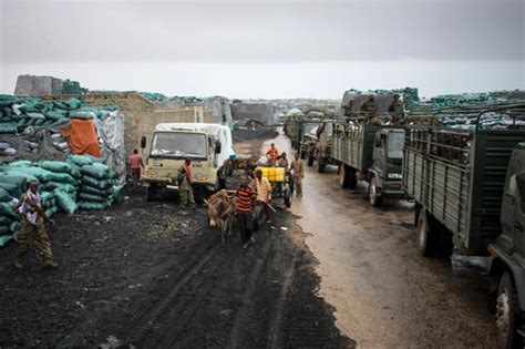 Maxed xasan 3 aylar önce. Dispute widens over charcoal exports from Kismayo