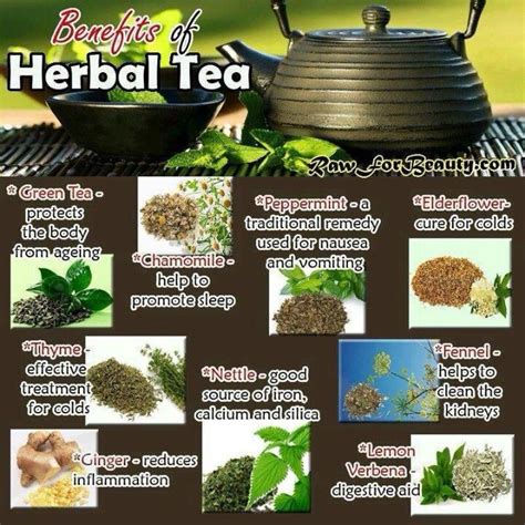 Drink More Tea Herbal Tea Benefits Herbalism Herbal Tea