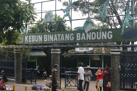 Kebun Binatang Bandung Aktivitas Lokasi Harga Tiket 2022 Riset