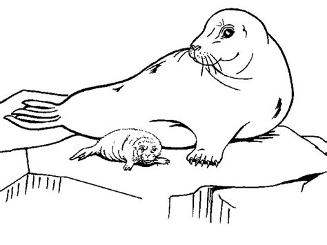 Turn a fun coloring activity into an impromptu science lesson as you color this antarctica coloring page. Antartica Coloring Pages - Kidsuki