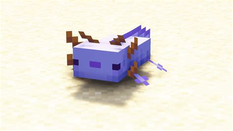 What Is The Rarest Axolotl In Minecraft Videogamer