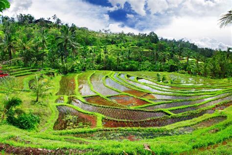 Top Ubud Activities For Luxury Travel East Coast Bali Discovery