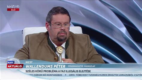 Akár 12 évet Is Kaphat A Kilőtt Svájci Farkas Miatt Az Egyik Vadász Hír Tv