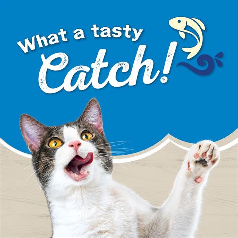 Friskies Ocean Favorites with Natural Salmon Dry Cat Food, 3.15-lb bag ...