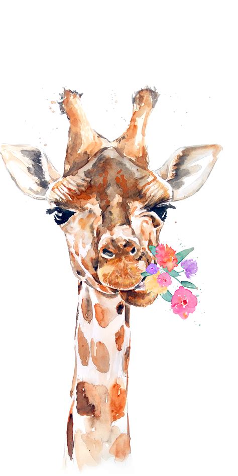 Baby Giraffe Watercolor Greeting Card By Olga Shvartsur Artofit